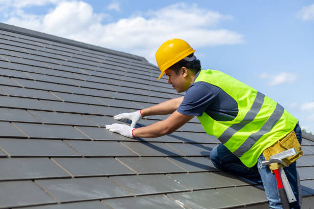 Best Roof Repair Services  in Suncoast Estates, FL